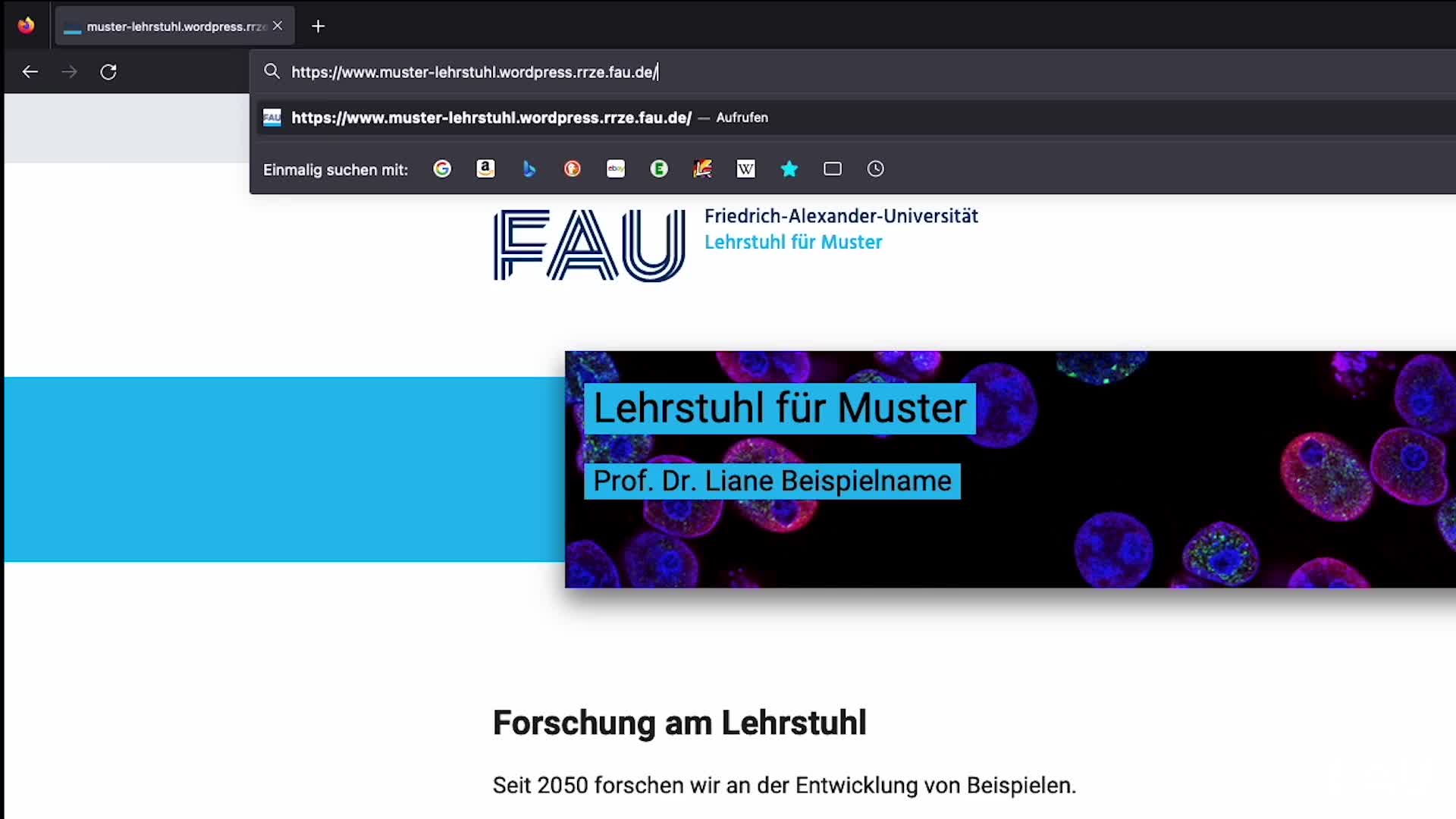 Series preview for RRZE - Schnellstart FAU Einrichtungen