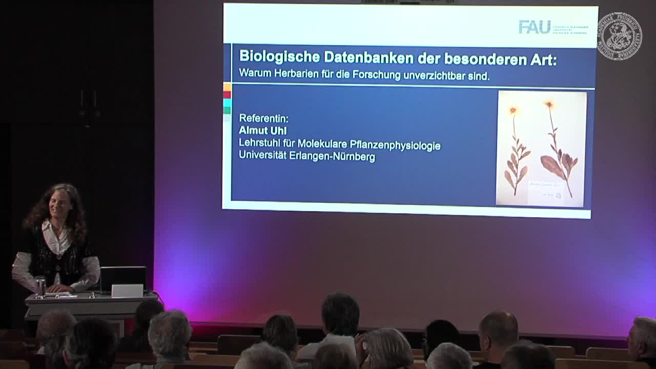 Series preview for Collegium Alexandrinum